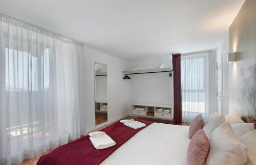 Linaje del Pago Listán Negro - Foto 19