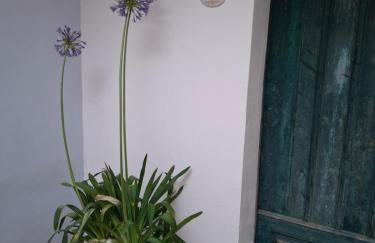 Palazzo Cosi-Forina - Foto 23