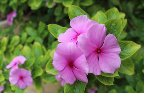 Casa Vacanze Margherita - Foto 13