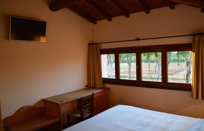 Fattoria Lucciano - Foto 13