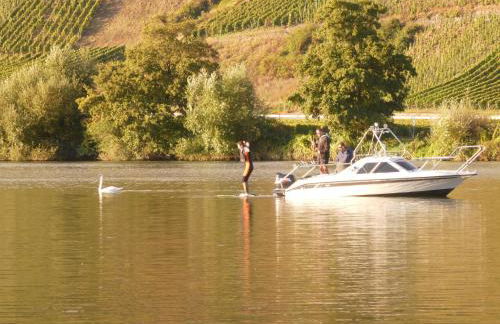 Hausboot Moselrose in Pölich - Foto 30