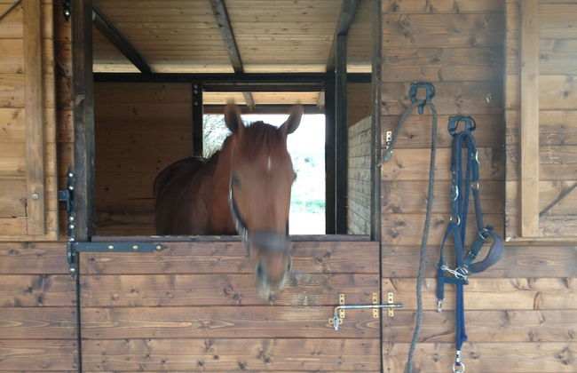 Agriturismo Paradiso - Foto 9