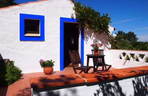 Quinta Da Relva - A traditional farmhouse in a stunning location - Foto 44