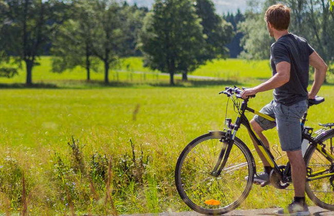 Tour del champán en bicicleta eléctrica - Foto 7