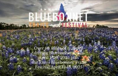 Restored Beautiful Airstream Fully Equipped with Incredible Outdoor Living in Texas - Foto 51