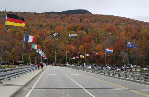 Spacious Private Home in White Mountains-Loon-Owl - Foto 56