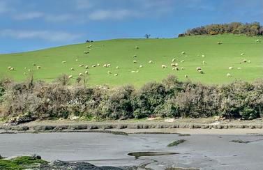 Gwel an Heyl, Padstow - Foto 53