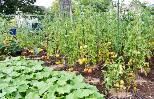 Modern Beautiful Apartment-5 Beds-Full Kitchen-Parking-Super Clean-Great for Groups - Foto 22