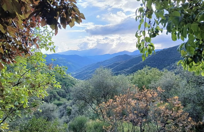 House - Sleeps 5, Scenic Views, Fireplace & Garden - Foto 16