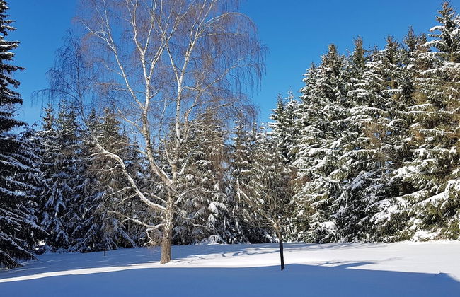 Wohnung in Benneckenstein Nahe Skilift - Foto 29