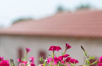 Calypso 2 Rural Experience at the heart of Makri - Foto 27