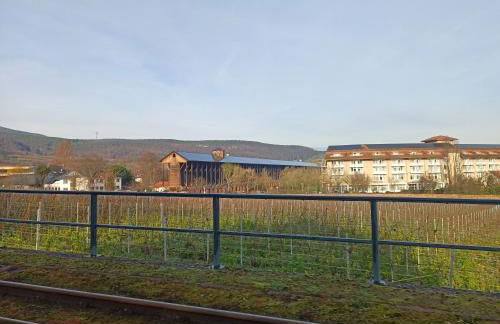 Dürkheimer Auszeit-gemütliches Studio am Kurpark - Foto 15