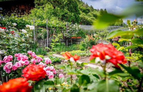 Appartements Kirchtalhof - Photo 32