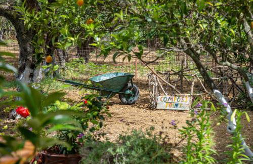 SEA & OLIVES HOUSE - Photo 37