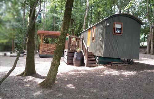 Little Greenwood Shepherd Hut - Sleeps 2 - Foto 21