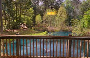 Waterfront Houston Hide out In A Magical Forest - Foto 30