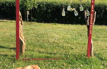 Ferienwohnung Am Haineberg - Foto 20