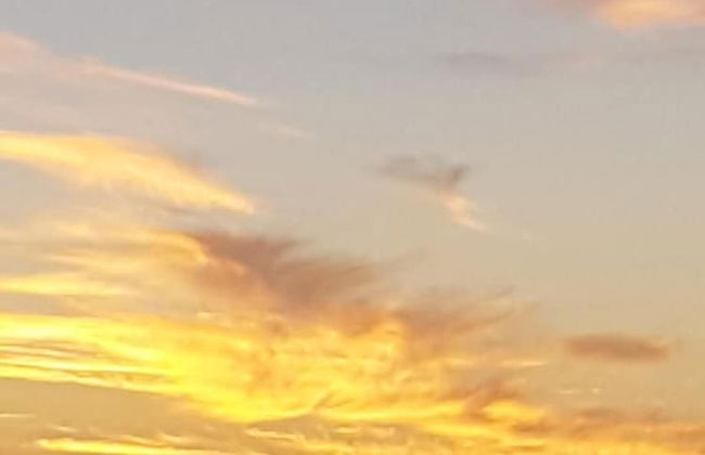 Trading Places - Photo 29