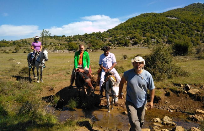 Farma Sotira - Foto 27