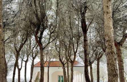 Villa Brada - Foto 31