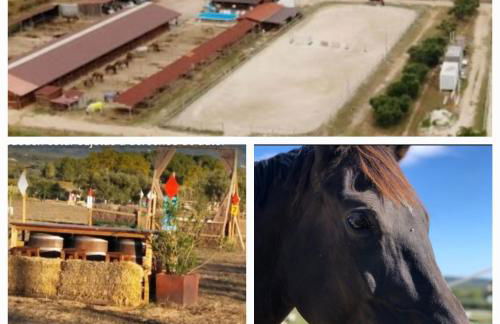 Casa Cal Tòfol - Foto 22