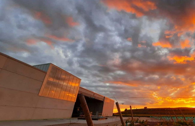 Dominio Lubiano Winery Tour - Photo 2