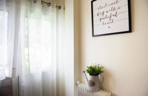 Blue Ark Athenian Nest - Foto 41