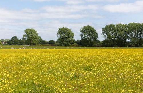 Rural Self-Contained 1Bed The Writer's Retreat - Foto 35