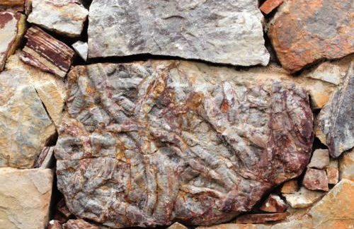 Casas do Almourão - Foto 63