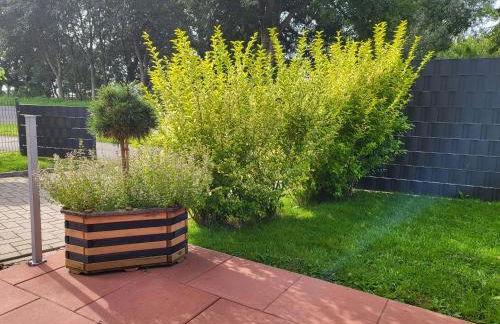 harle-casa.ostfriesland - Foto 48