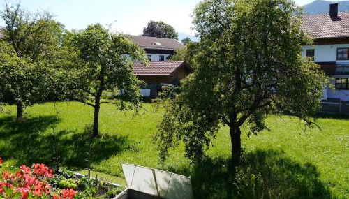 Ferienwohnungen Winkler - Foto 4