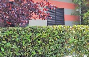 Residenza XX Settembre - Foto 7