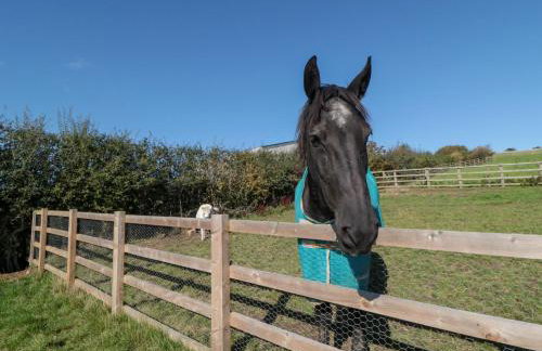 Stags Mount - Foto 30