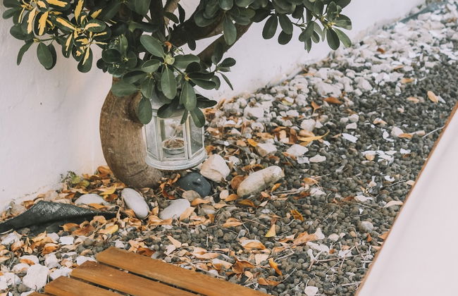 36 - Sobral Guesthouse - Photo 33