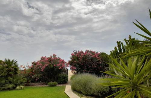 Scrusciu do Mari - Foto 3