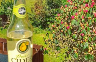 Heart of Kernow Holidays - Foto 24