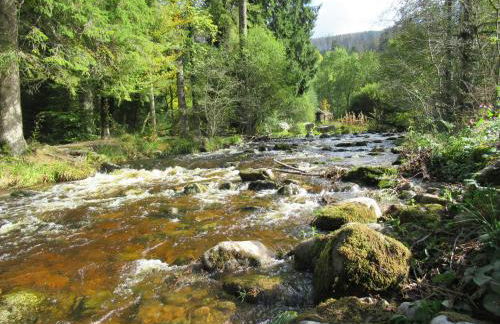 Ferienwohnung Schönmünzblick - Photo 41