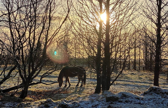 Askot Cottages - Foto 20