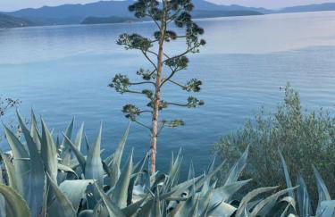 Villa Panorama Garden Chorto - Foto 27