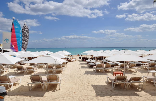 Pelicanos 203 by Vimex - Foto 1