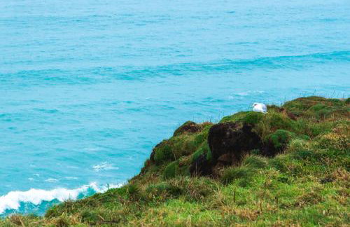 Panoramic Sea-View Family Appartment , Free Parking, Sleeps 6 , Walk to Beach, Station, & Town - Foto 20