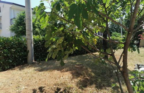 Apartment Ena - Foto 19