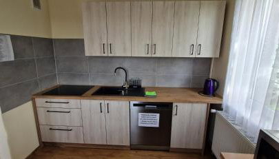 Beskidek SZARY DOMEK - Foto 4, stove, dishwasher, pet friendly