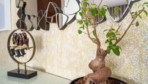 Alohouse Nazaré - Foto 3