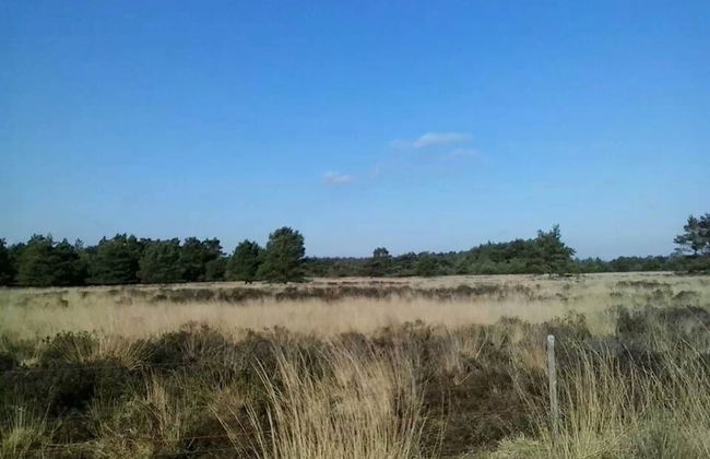 Single-storey House With Garden, in a Natural Area - Photo 18