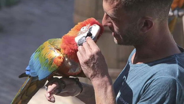 Osservando il personale di Oltremare al lavoro