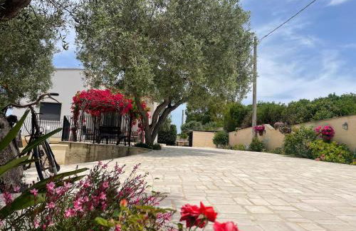 Riserva Ancelle - Foto 1