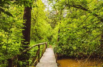 Autumn Nature Cottage Stove Garden by PolandBnB - Foto 36