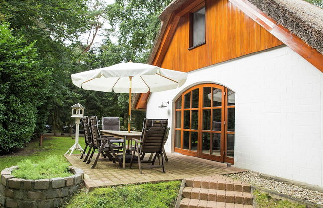 Ferienhaus Boschhuys - Foto 10