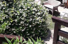 Il giardino del borgo - Foto 16